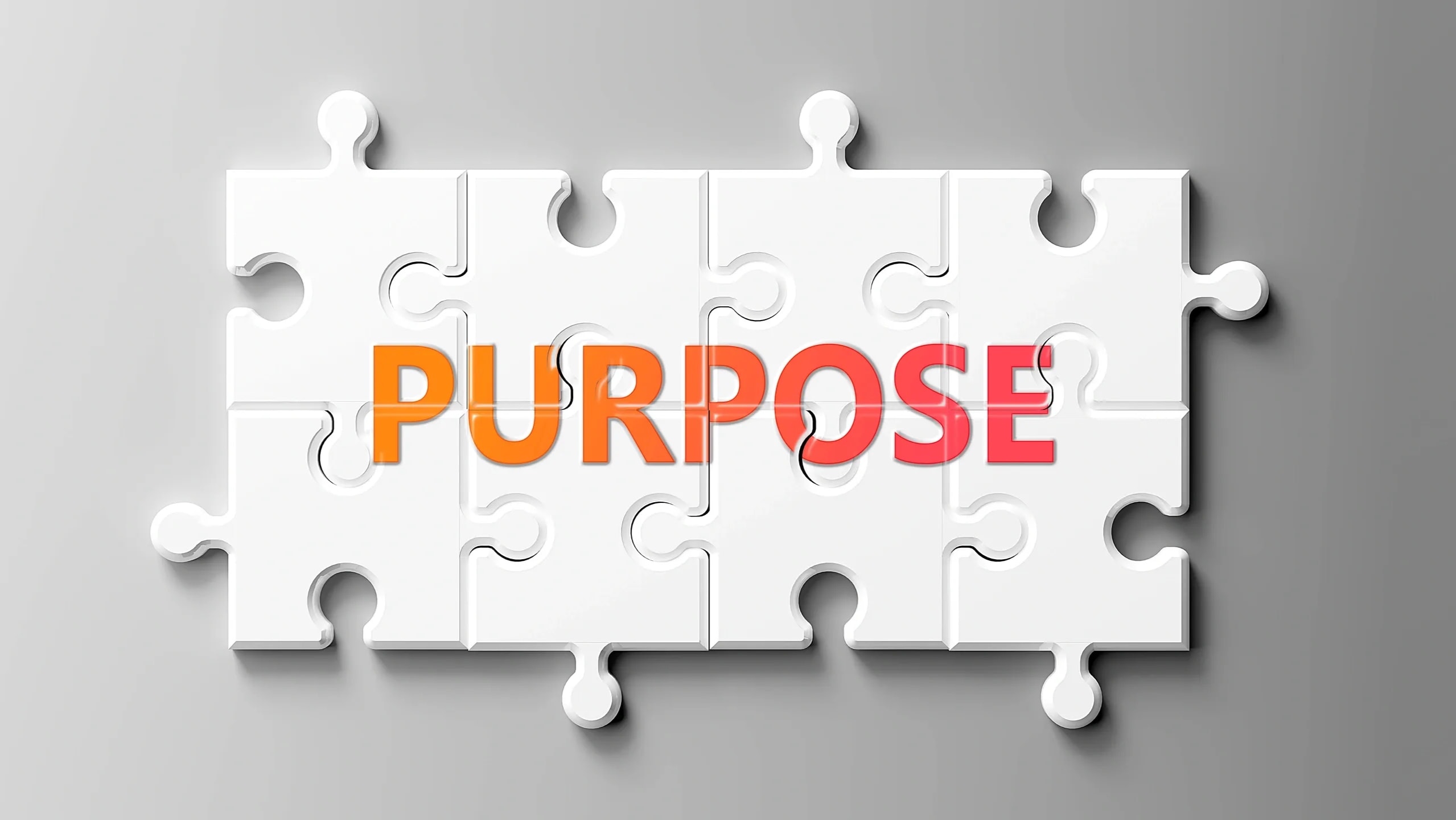 Our Purpose